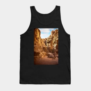 The Road Into Petra Tank Top